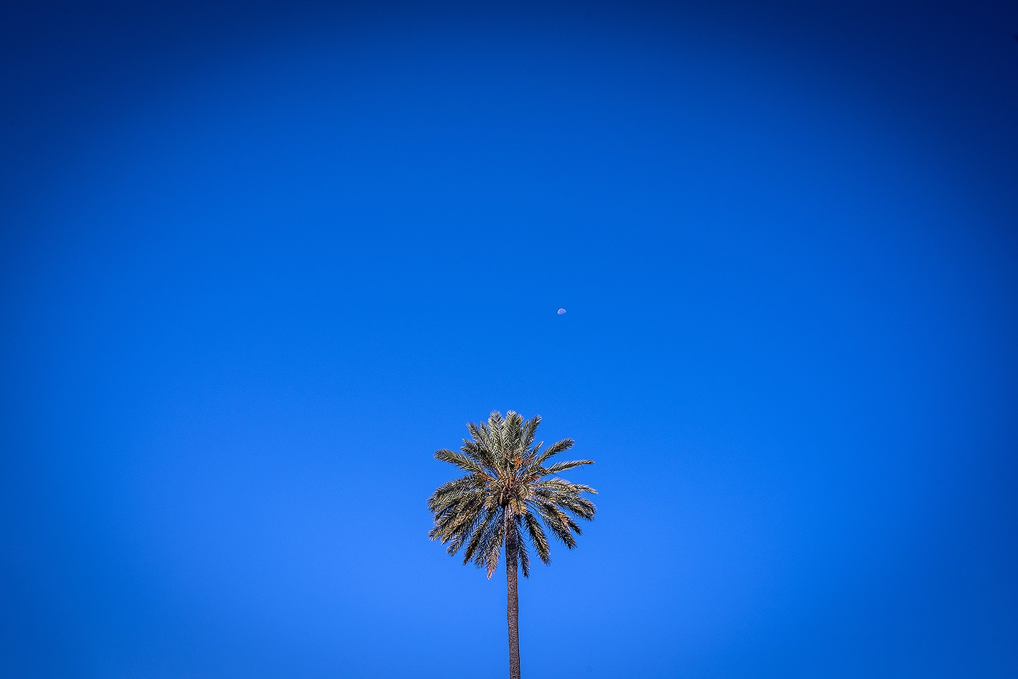 Jesús_Hernández_fotógrafo_bodas_Cádiz_Jerez_Sevilla- 02