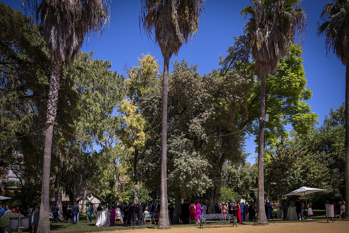 Jesús_Hernández_fotógrafo_bodas_Cádiz_Jerez_Sevilla- 78