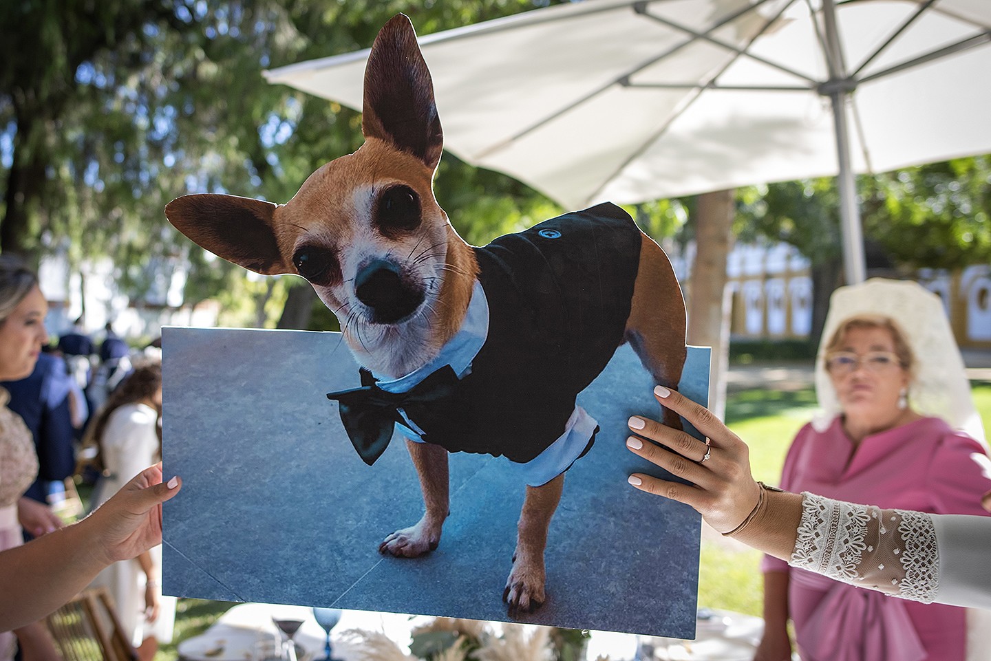 Jesús_Hernández_fotógrafo_bodas_Cádiz_Jerez_Sevilla- 88