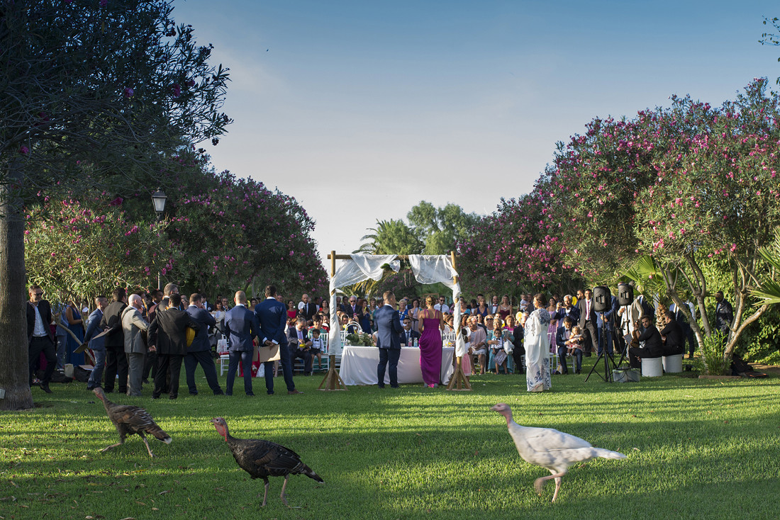 bodas_cadiz_jesus_hernandez_fotografo 26