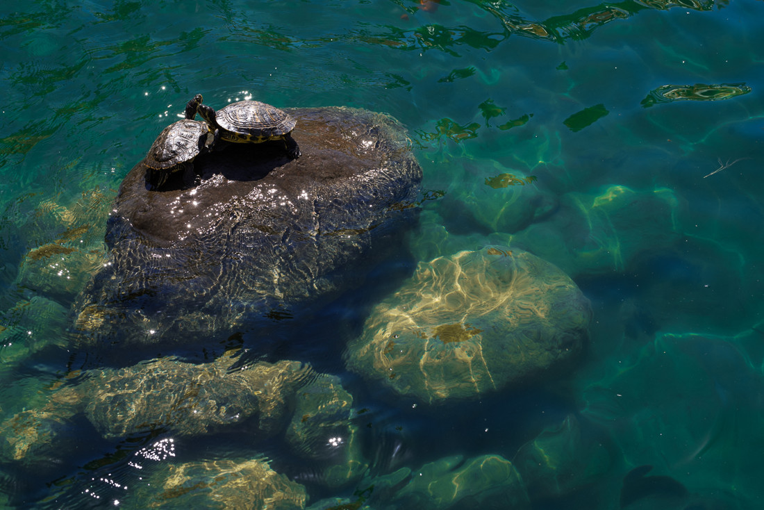 jesus_hernandez_fotografo-88