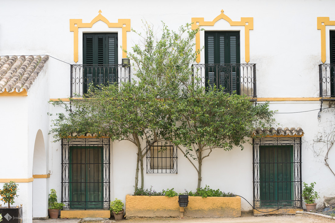 jesus_hernandez_fotografo_bodas_cadiz 004