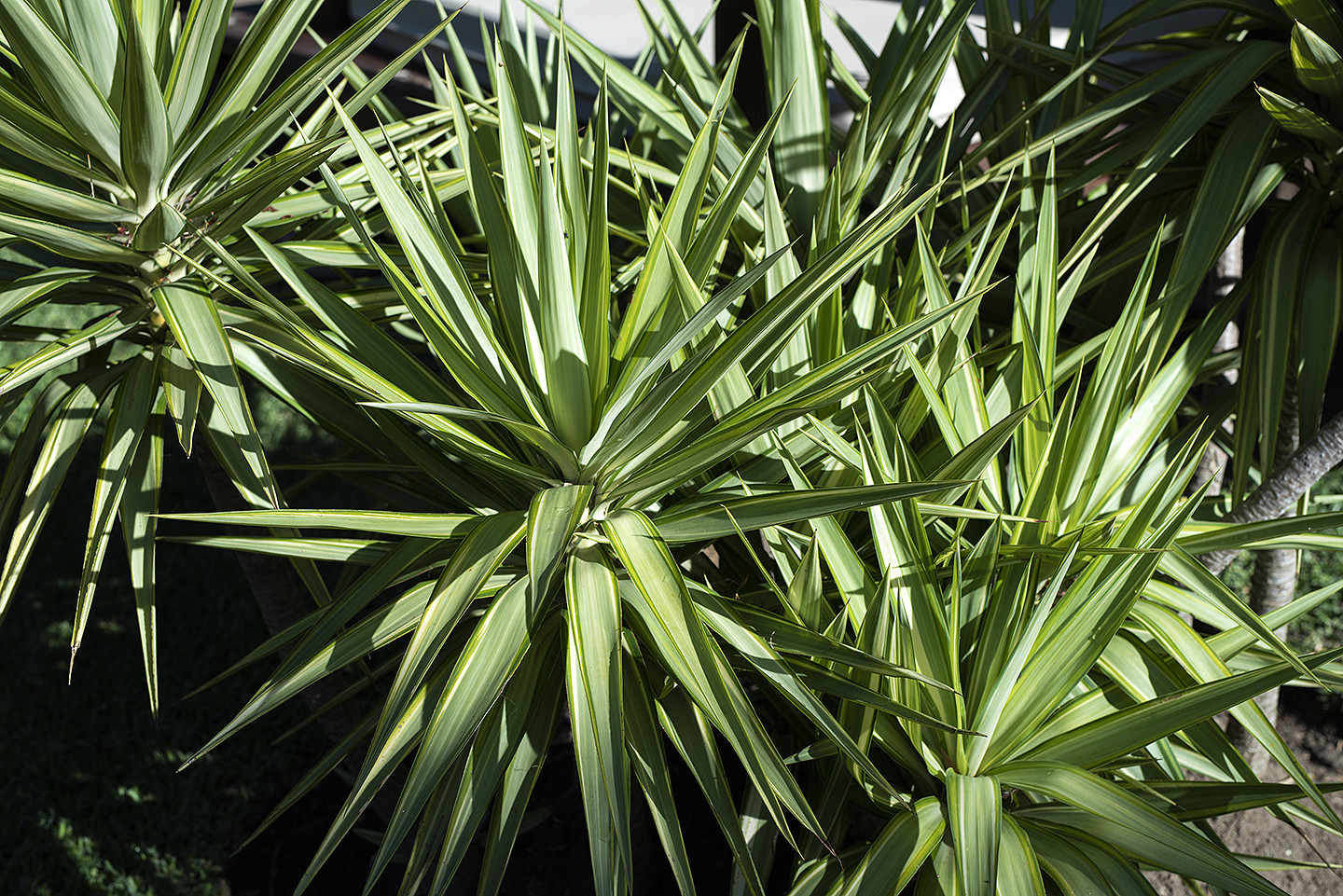 jesus_hernandez_fotografo_tarifa_bodas_cadiz-020