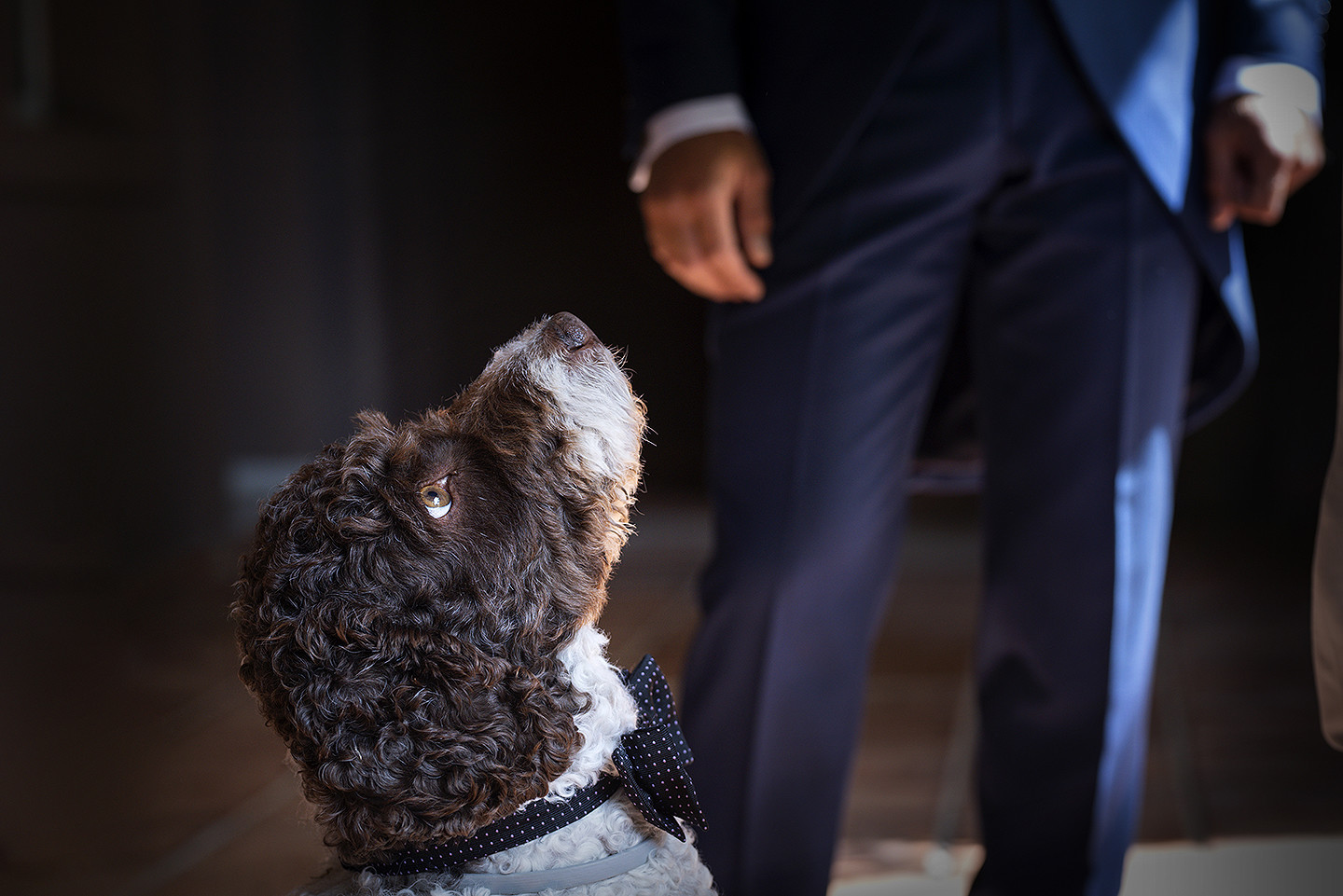 jesus_hernandez_fotografo_tarifa_bodas_cadiz-031