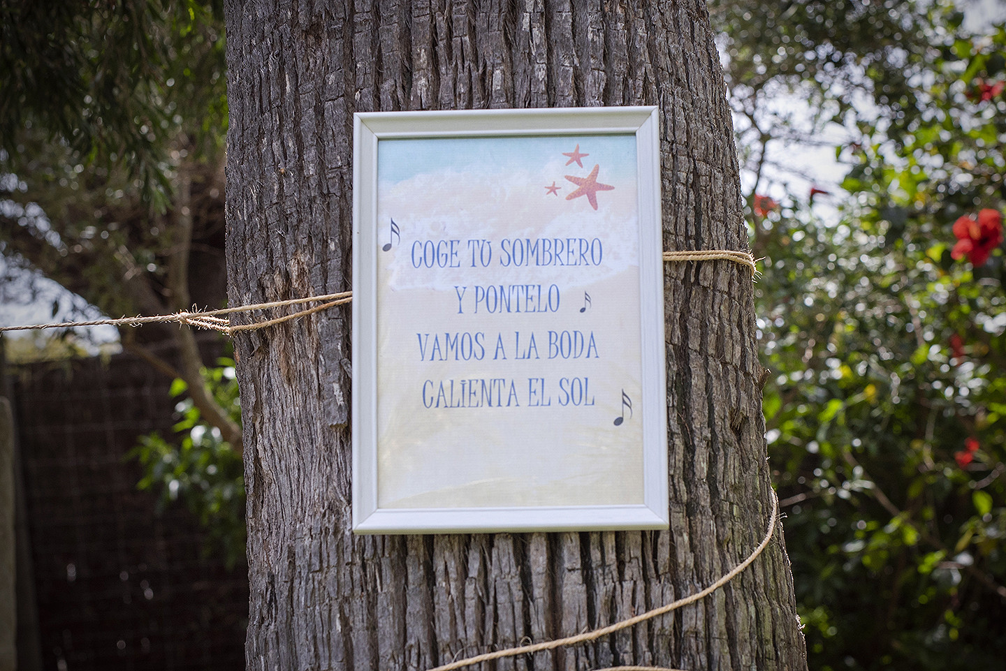 jesus_hernandez_fotografo_tarifa_bodas_cadiz-086