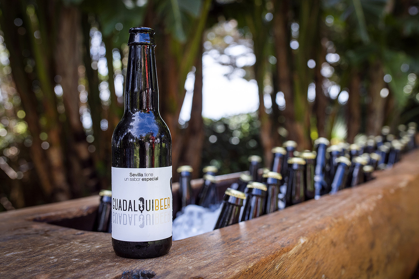 jesus_hernandez_fotografo_tarifa_bodas_cadiz-091