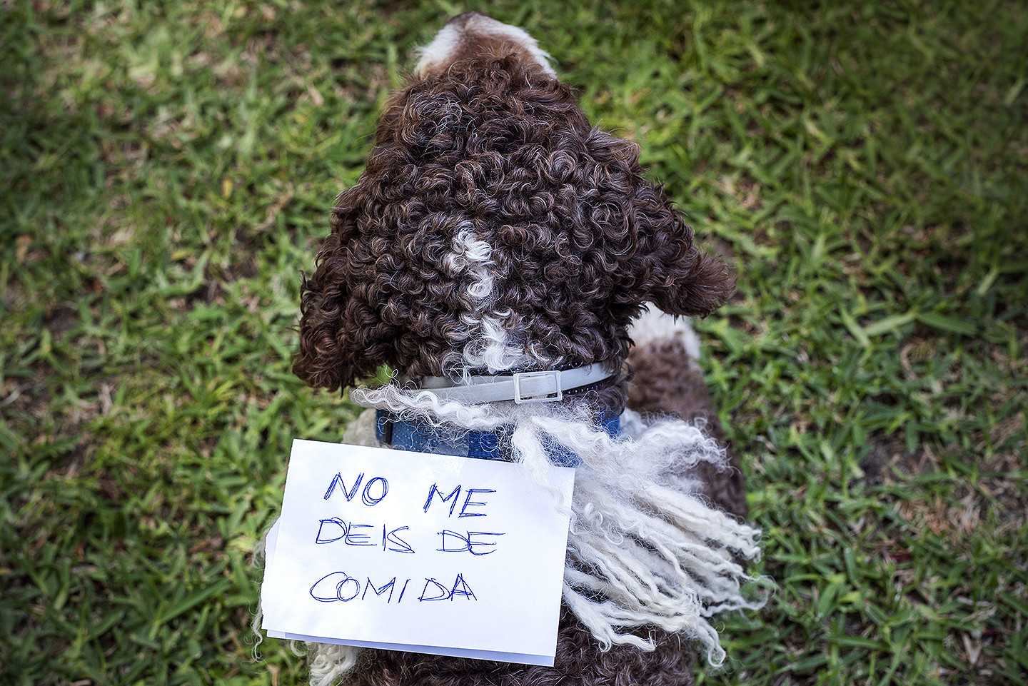 jesus_hernandez_fotografo_tarifa_bodas_cadiz-096