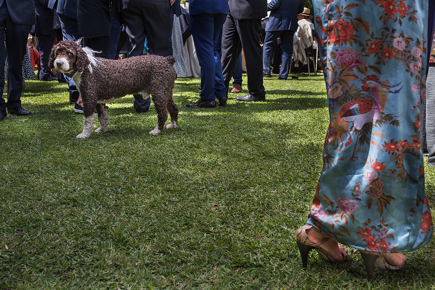 jesus_hernandez_fotografo_tarifa_bodas_cadiz-100