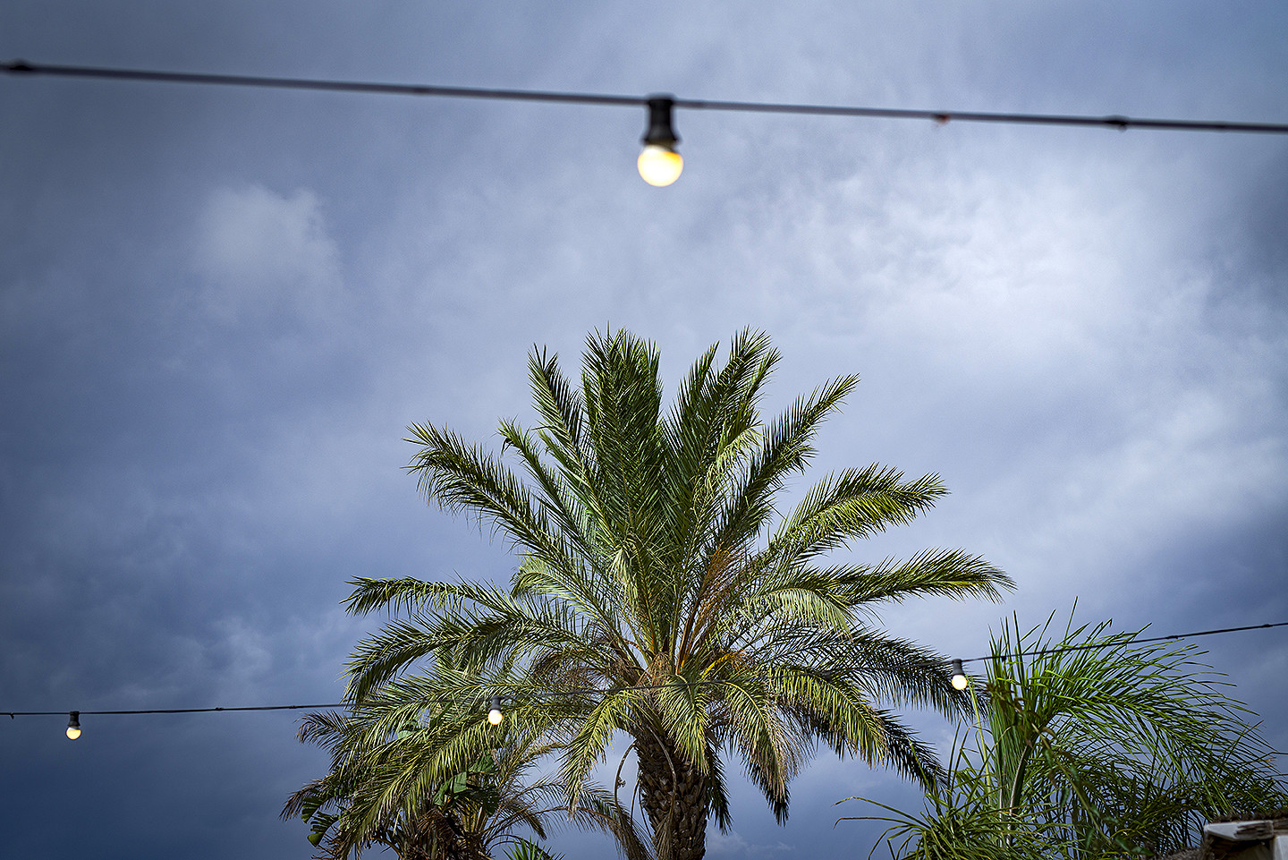 68-jesus_hernandez_fotografo_bodas_cadiz