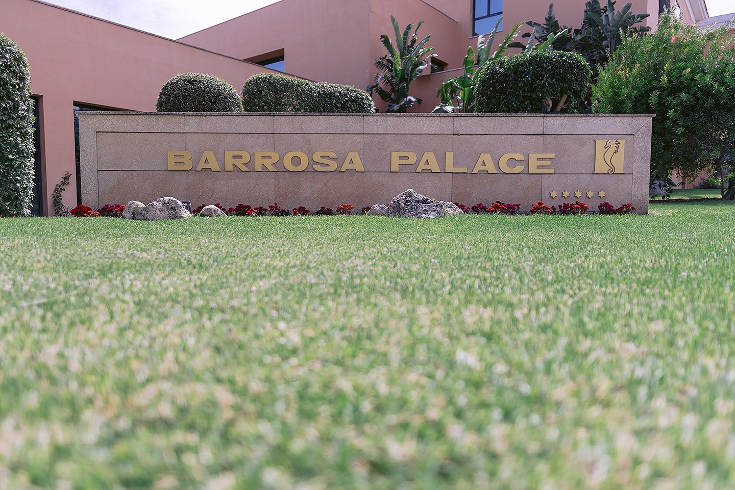 Jesus_Hernandez_fotografía_bodas_cadiz 003