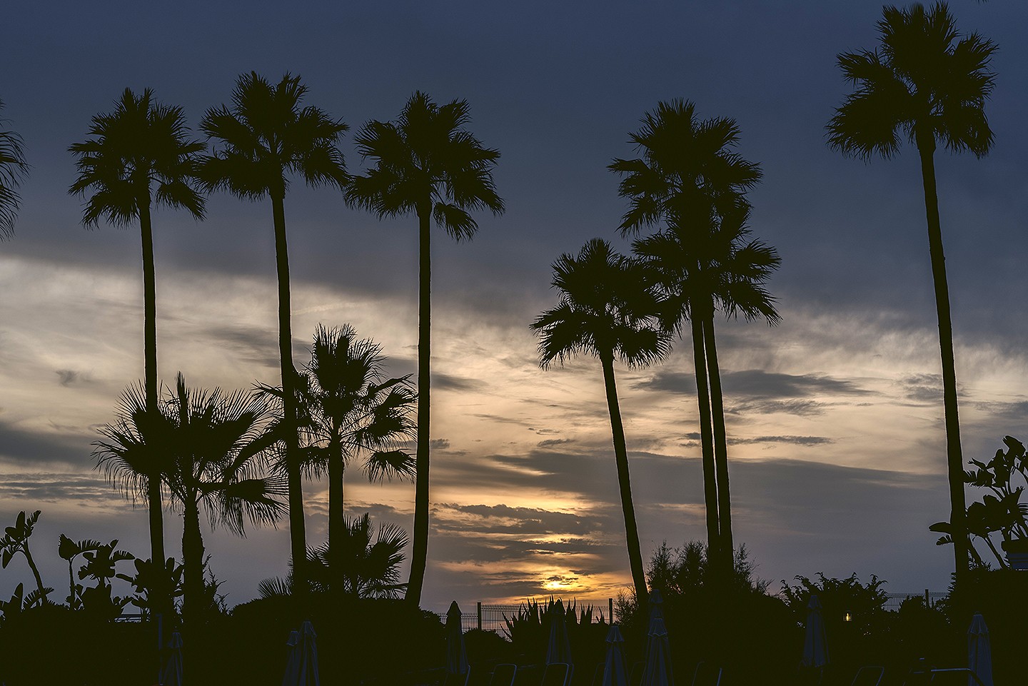 Jesus_Hernandez_fotografía_bodas_cadiz 119